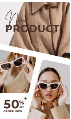 zebra standing on wheat field, looking back towards the camera